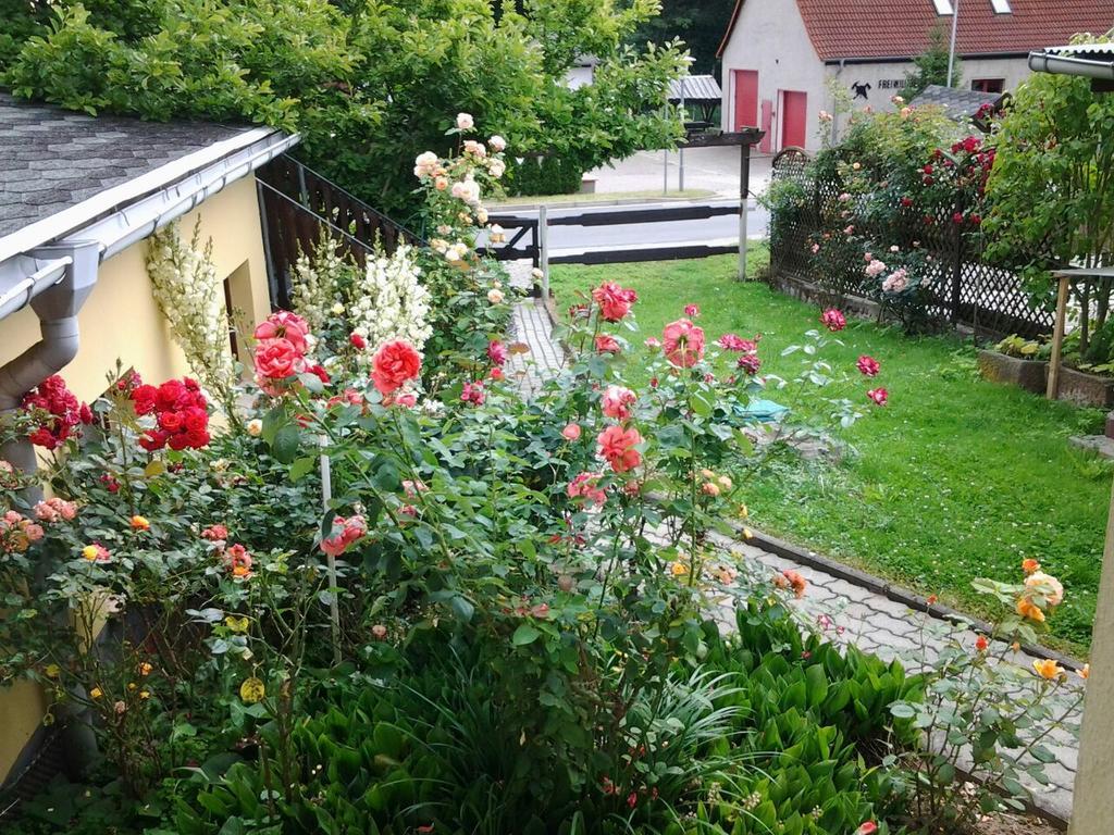 Ferienhaus Waldblick Sangerhausen Kültér fotó