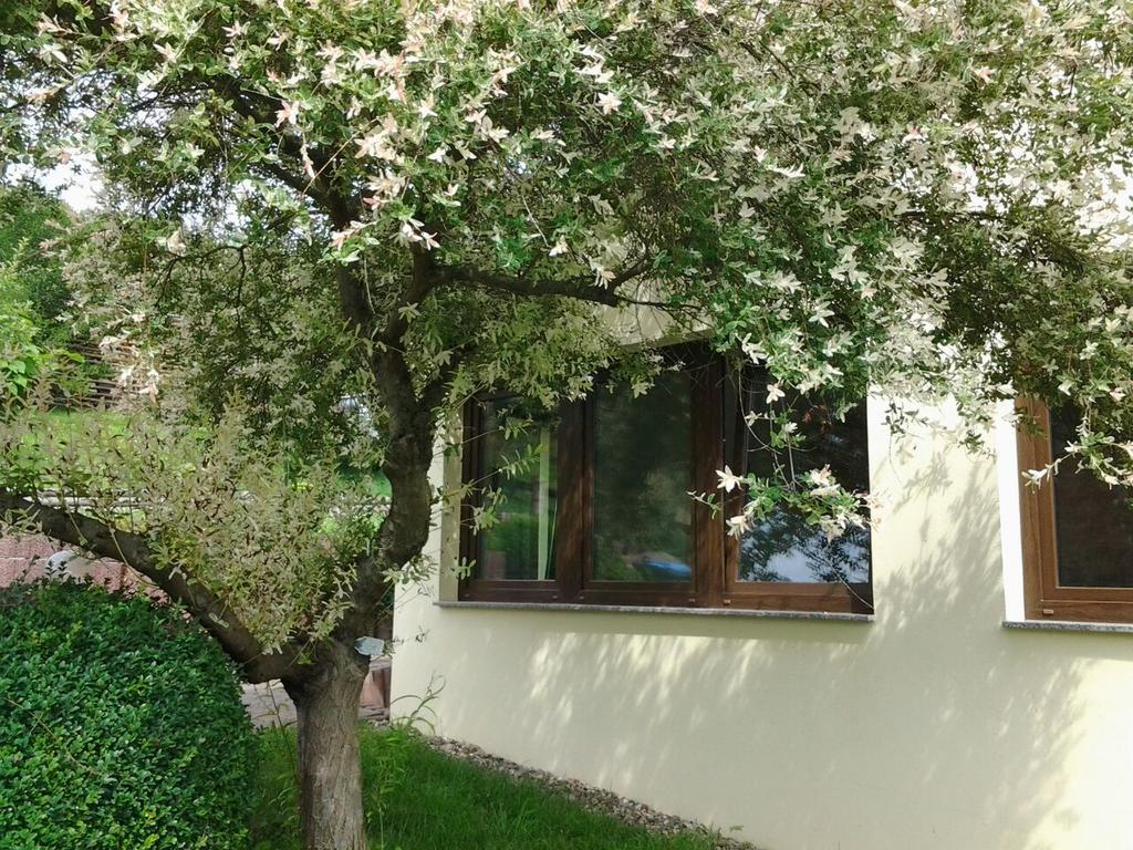 Ferienhaus Waldblick Sangerhausen Kültér fotó